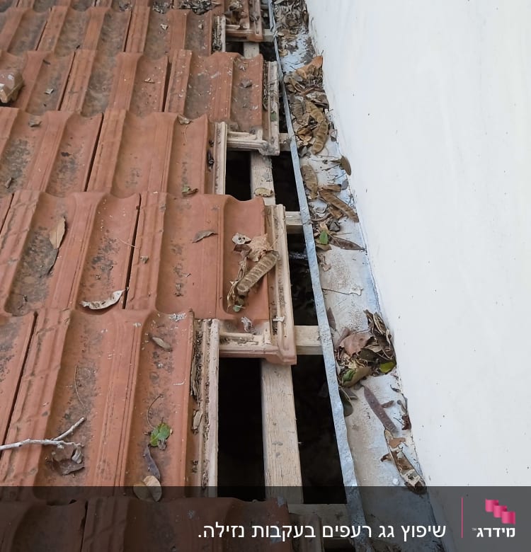 רעפים שבורים על גג עם עלים יבשים